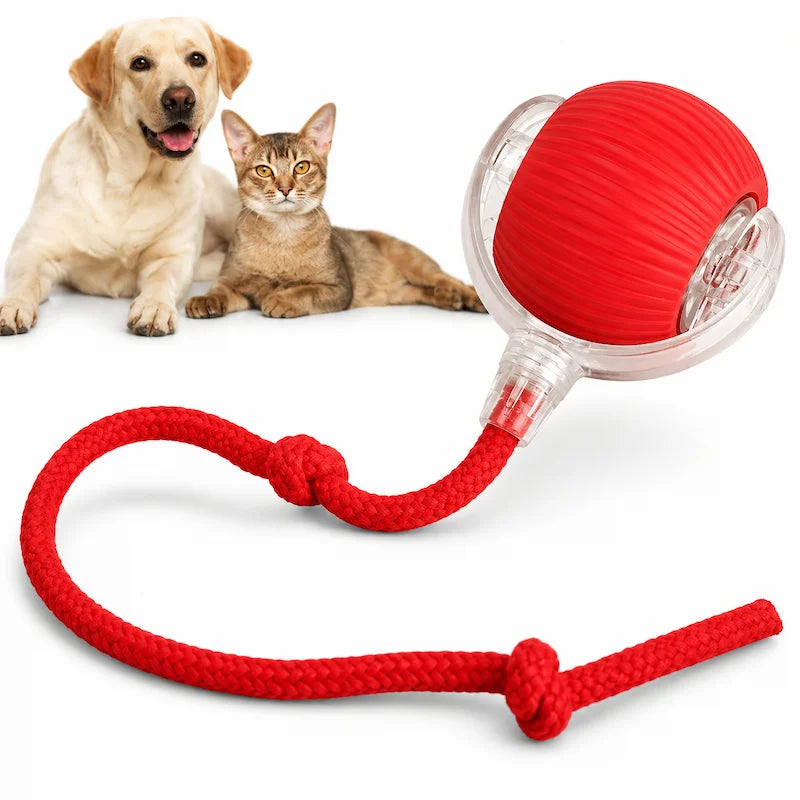 Smart Rolling Pet Ball